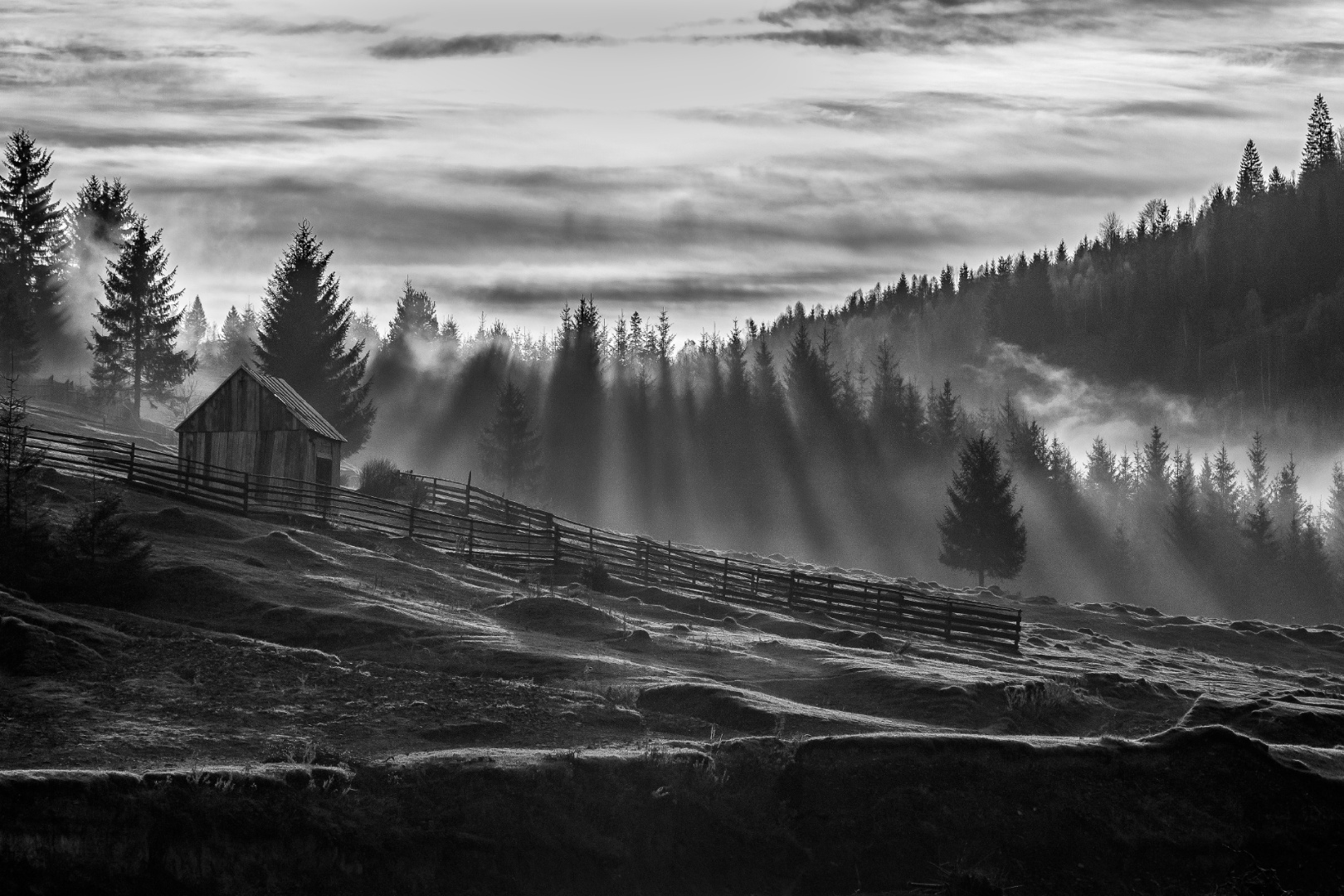 MG 993122javítás – helyreállítva2