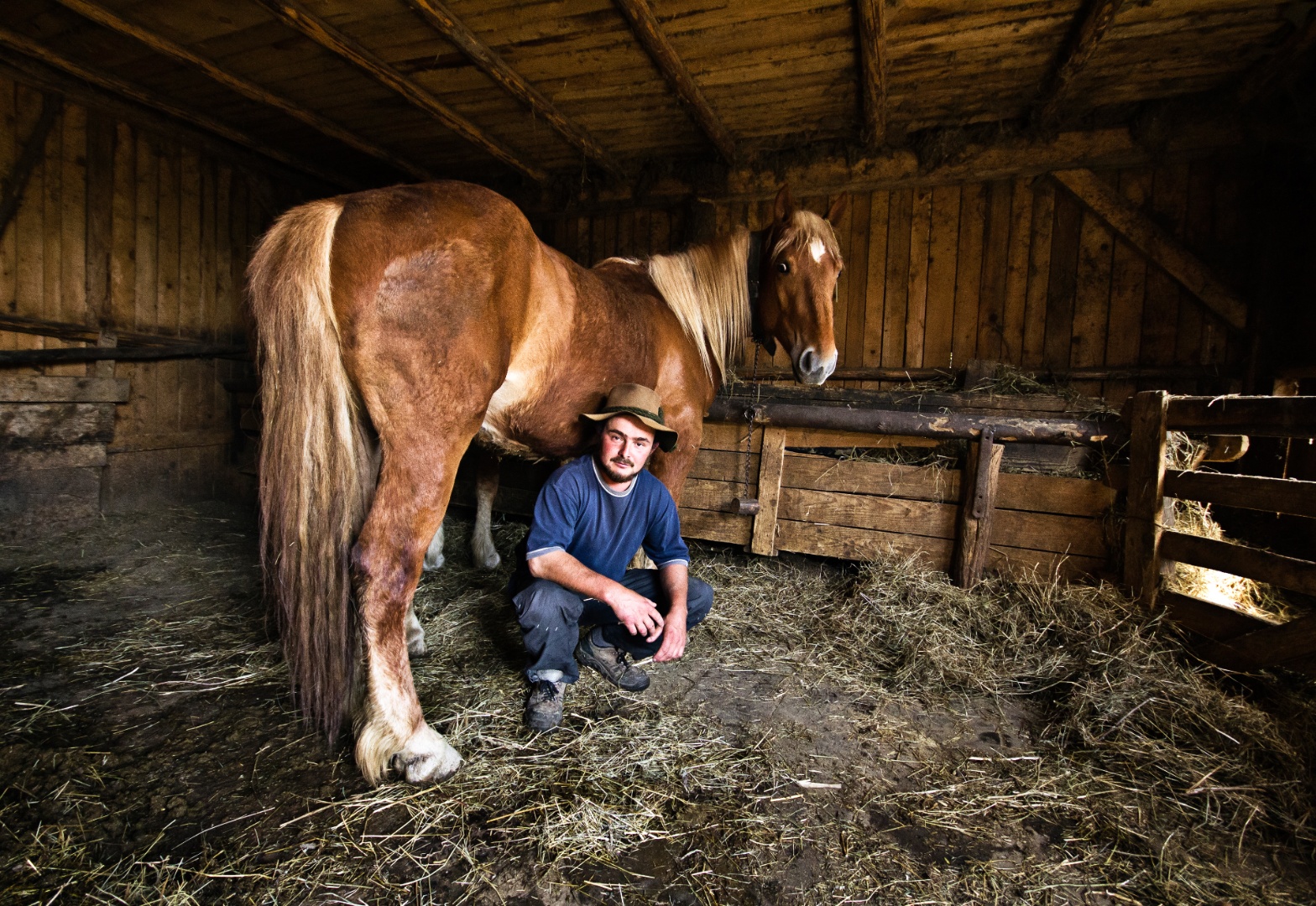 Gábos Domokos, Székelymuzsna 2011