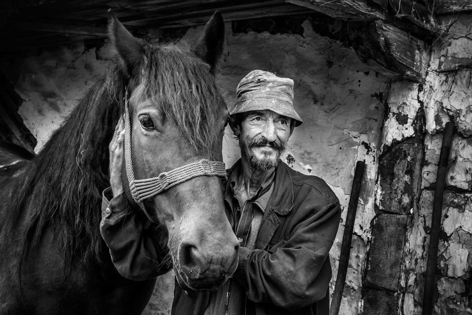 Péter, Jóbarátok, Bogárfalva 2014
