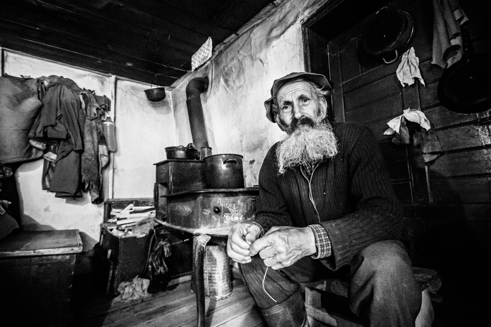 Tankó Fülöp Gyugyu bácsi, Farkasok pataka 2017