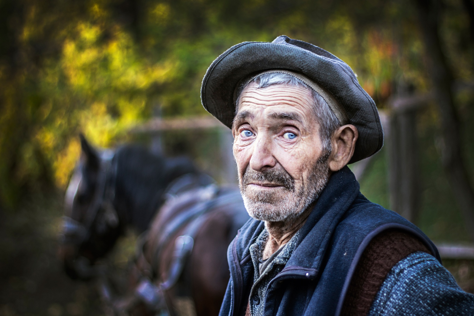 A gazda, Siklód 2014