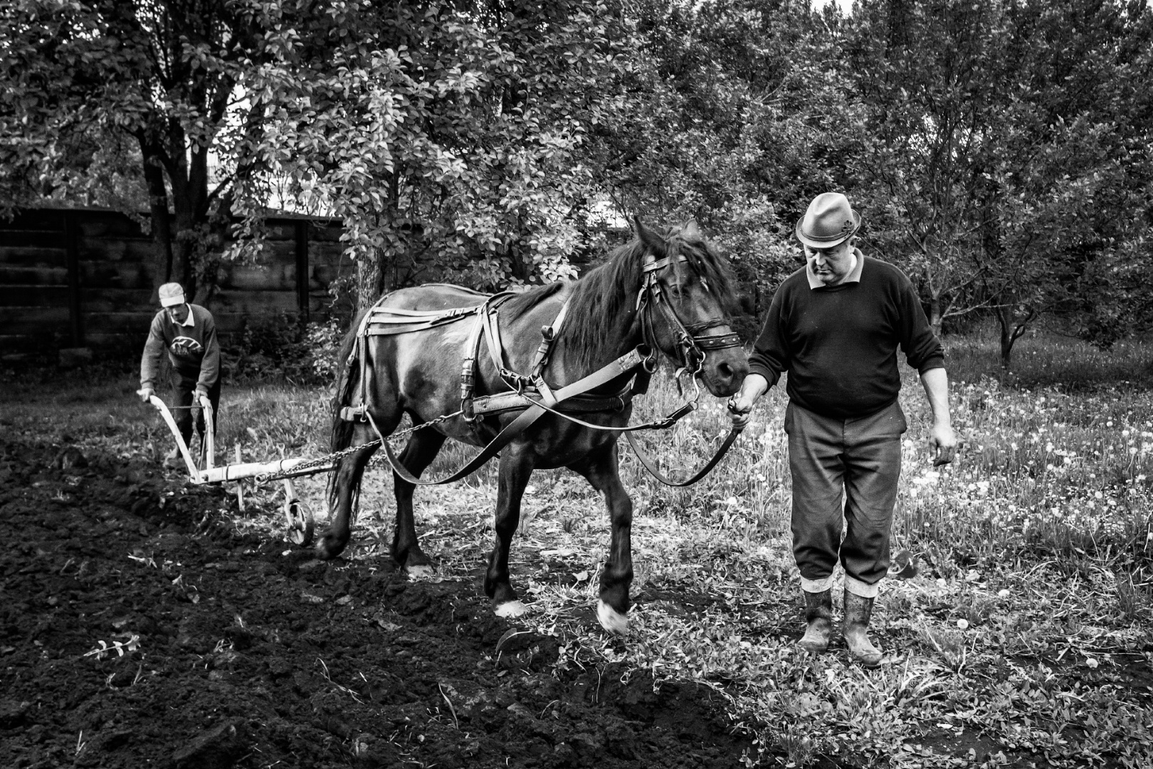 Kászonaltíz Bilibók István és ifj Máté Lajos3