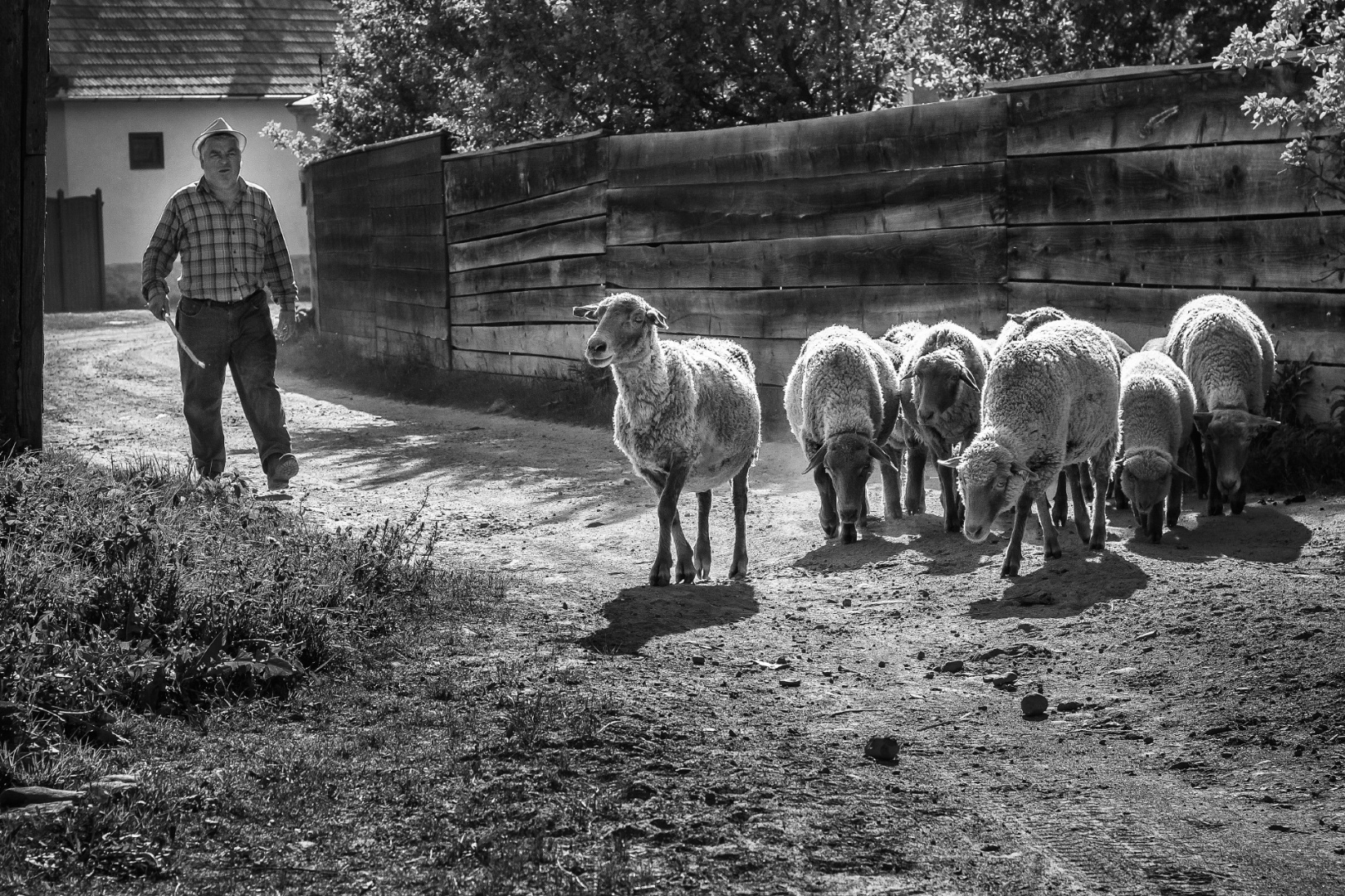 Kászonaltíz Sánta Imre