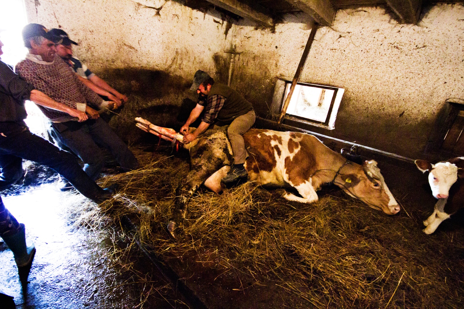 Világrahuzatal Székelymuzsna 2011