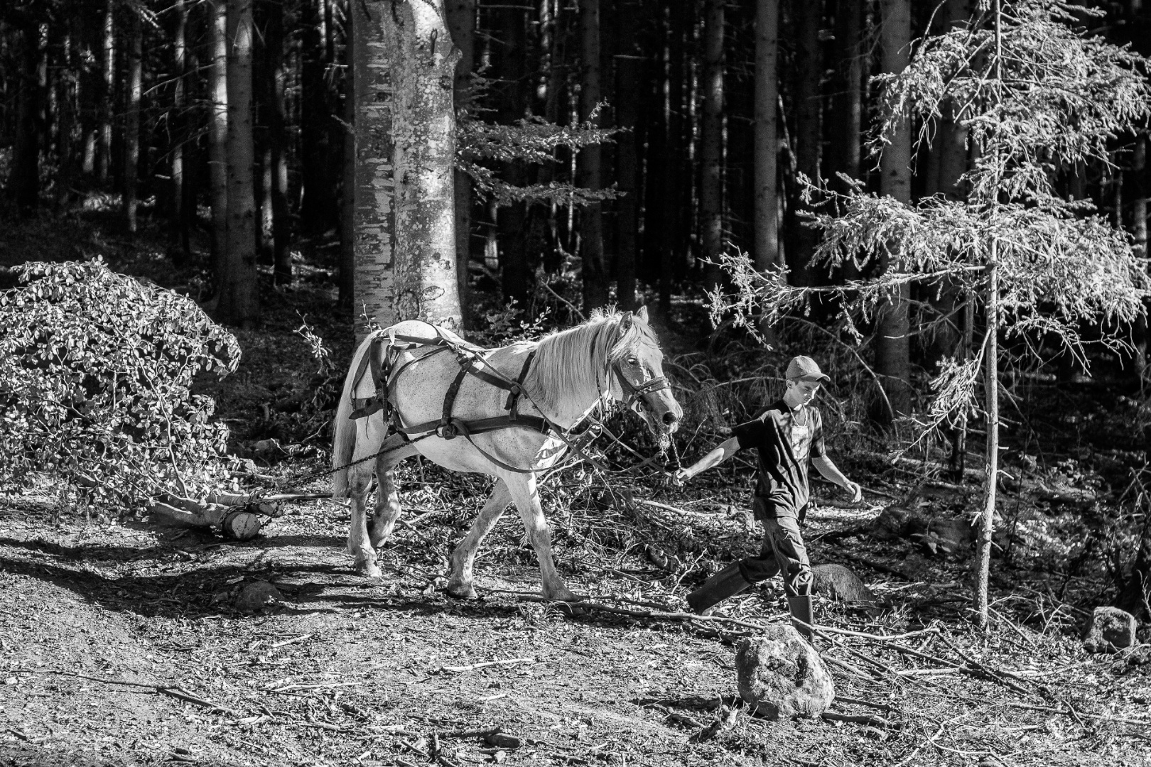 MG 0598 – helyreállítva2