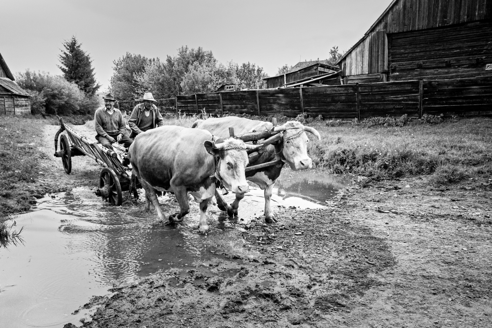 MG 8421 – helyreállítva